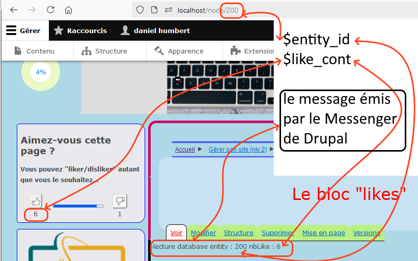 Cliquez pour agrandir l'image
