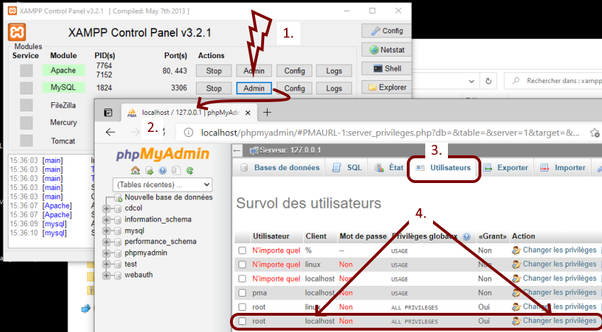 Cliquer pour agrandir l'image