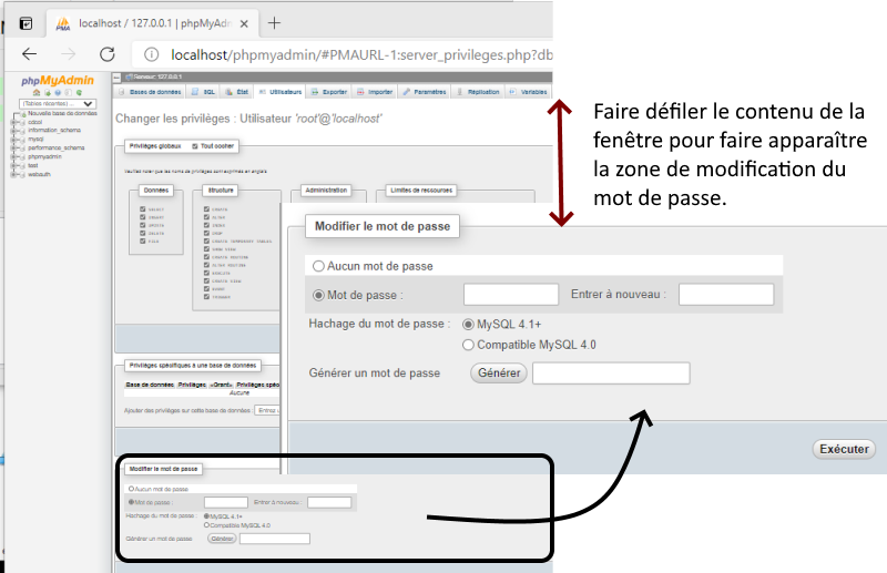 Cliquer pour agrandir l'image