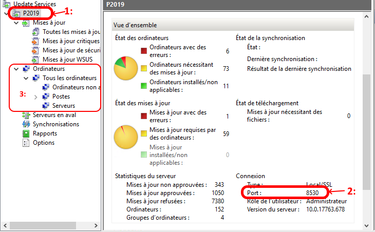 Cliquer pour agrandir l'image