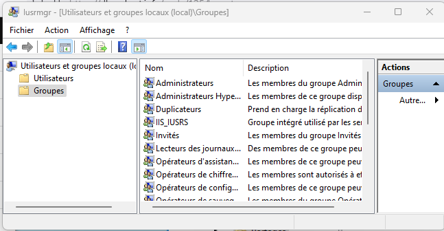 Cliquer pour agrandir l'image