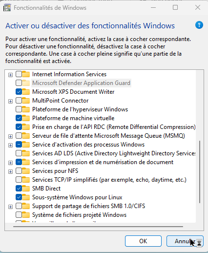 Cliquer pour agrandir l'image