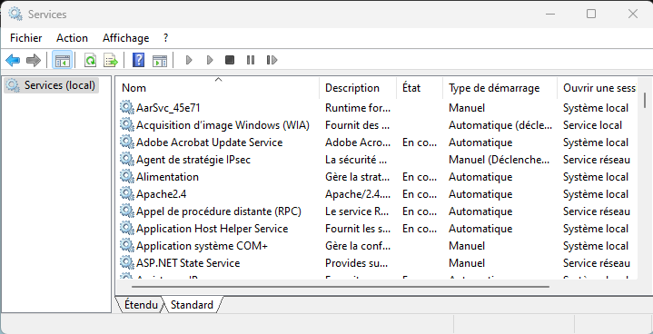 Cliquer pour agrandir l'image