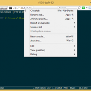 Cliquer pour agrandir l'image