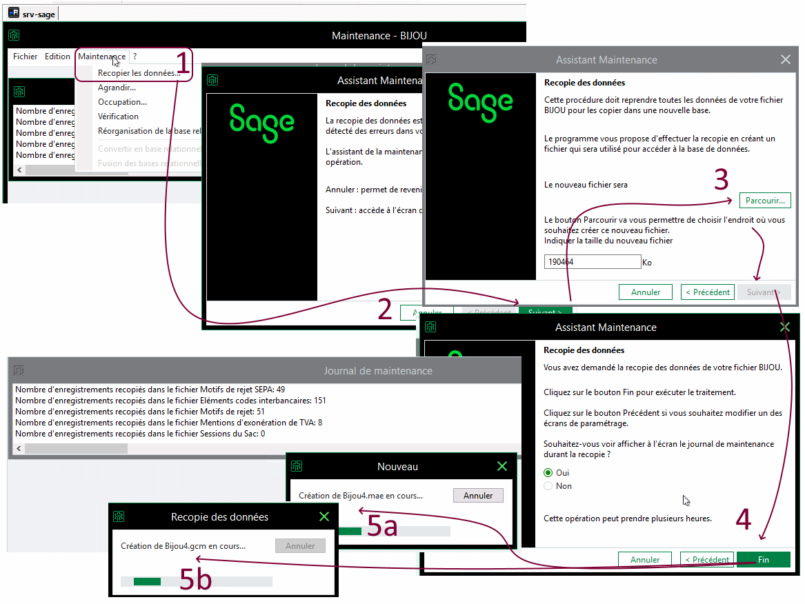 Cliquez pour agrandir l'image