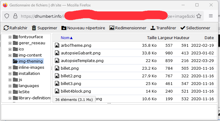 Cliquez sur l'image pour l'agrandir
