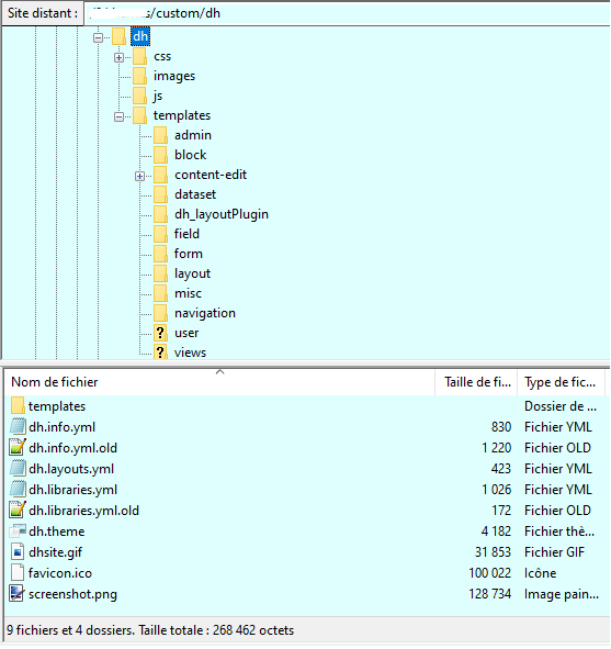 Cliquer pour agrandir l'image