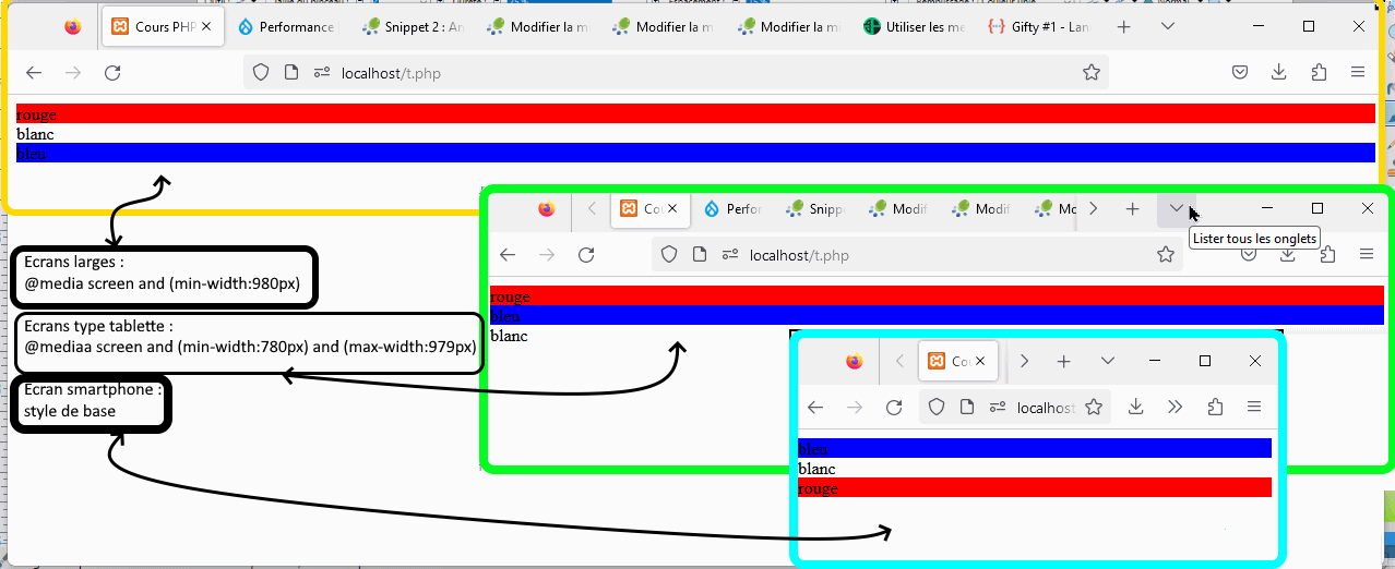 Cliquer pour agrandir l'image